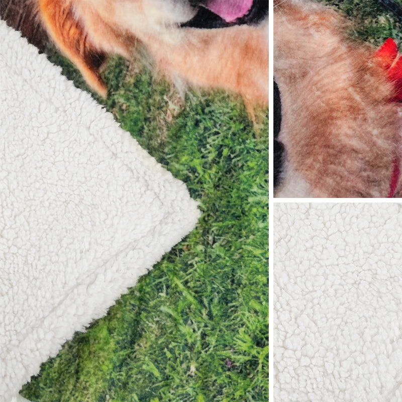 custom sherpa pet photo blanket