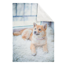 Load image into Gallery viewer, sherpa photo blanket for dog